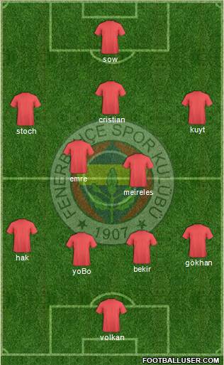 Fenerbahçe SK Formation 2013