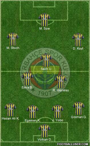Fenerbahçe SK Formation 2013
