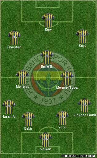 Fenerbahçe SK Formation 2013