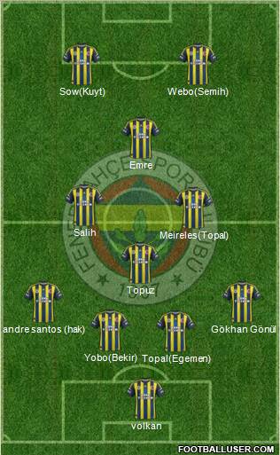 Fenerbahçe SK Formation 2013