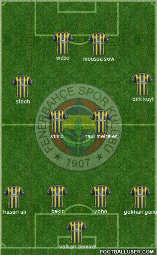 Fenerbahçe SK Formation 2013