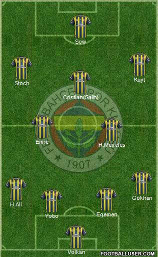 Fenerbahçe SK Formation 2013