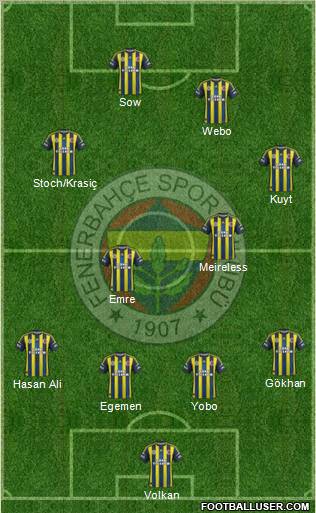 Fenerbahçe SK Formation 2013