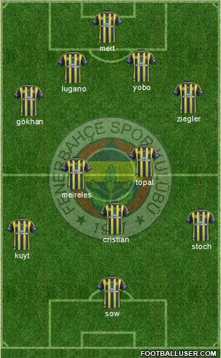 Fenerbahçe SK Formation 2013