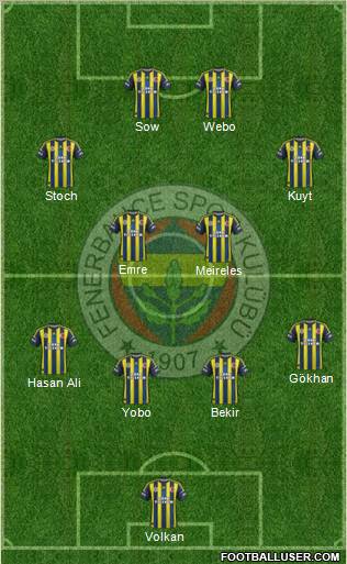 Fenerbahçe SK Formation 2013