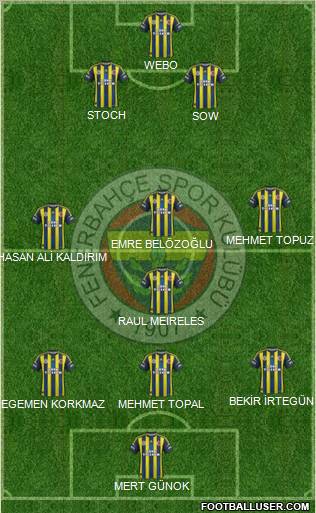 Fenerbahçe SK Formation 2013