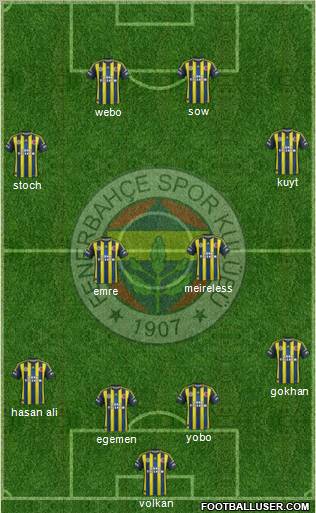 Fenerbahçe SK Formation 2013