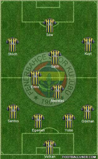 Fenerbahçe SK Formation 2013