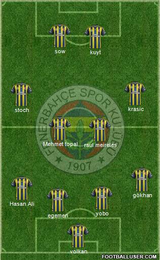 Fenerbahçe SK Formation 2013