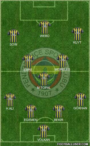 Fenerbahçe SK Formation 2013