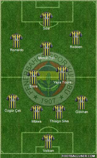 Fenerbahçe SK Formation 2013