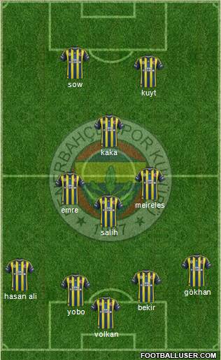 Fenerbahçe SK Formation 2013