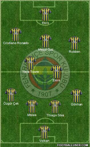 Fenerbahçe SK Formation 2013