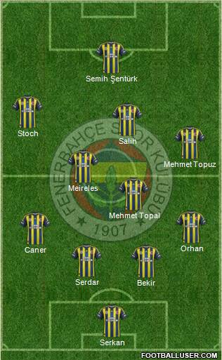 Fenerbahçe SK Formation 2013