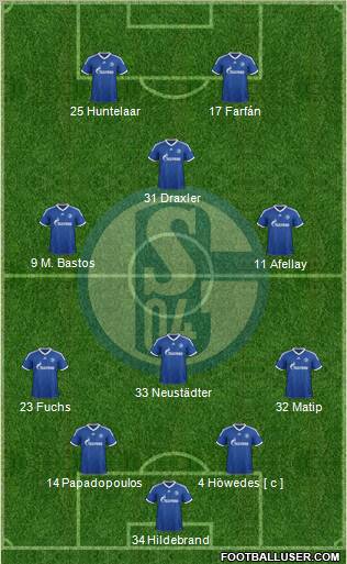 FC Schalke 04 Formation 2013