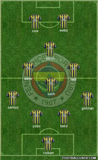 Fenerbahçe SK Formation 2013