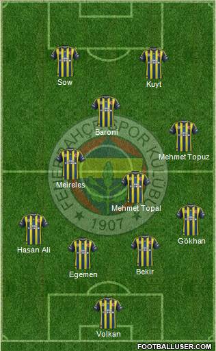 Fenerbahçe SK Formation 2013