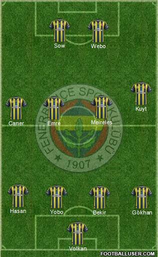 Fenerbahçe SK Formation 2013