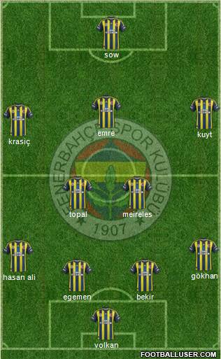 Fenerbahçe SK Formation 2013