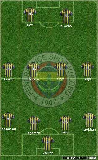 Fenerbahçe SK Formation 2013