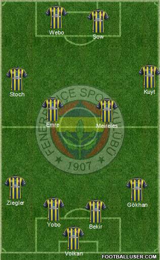 Fenerbahçe SK Formation 2013
