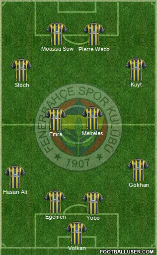 Fenerbahçe SK Formation 2013