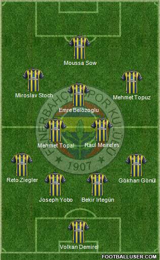 Fenerbahçe SK Formation 2013