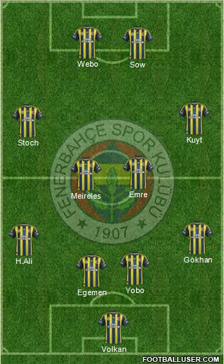 Fenerbahçe SK Formation 2013