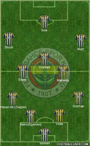Fenerbahçe SK Formation 2013