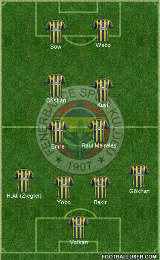 Fenerbahçe SK Formation 2013