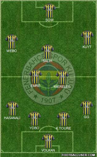 Fenerbahçe SK Formation 2013