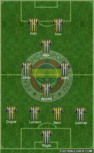 Fenerbahçe SK Formation 2013