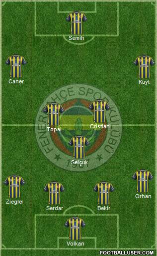 Fenerbahçe SK Formation 2013
