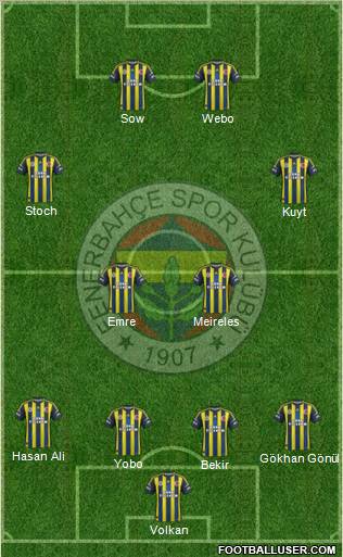 Fenerbahçe SK Formation 2013