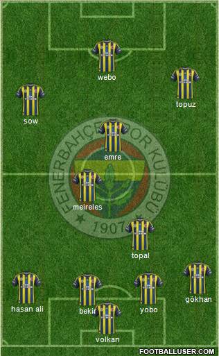 Fenerbahçe SK Formation 2013