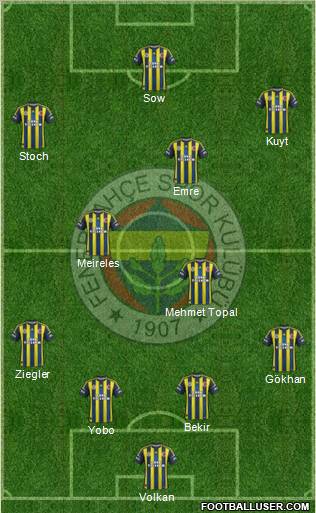 Fenerbahçe SK Formation 2013