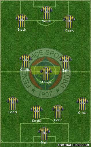 Fenerbahçe SK Formation 2013