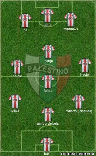 CD Palestino S.A.D.P. Formation 2013
