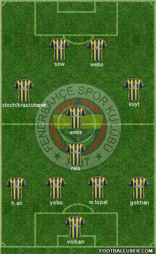 Fenerbahçe SK Formation 2013