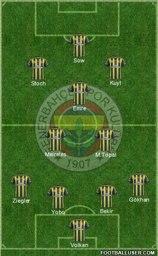 Fenerbahçe SK Formation 2013