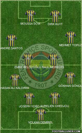 Fenerbahçe SK Formation 2013