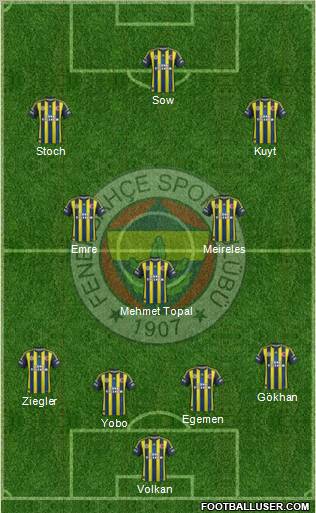 Fenerbahçe SK Formation 2013