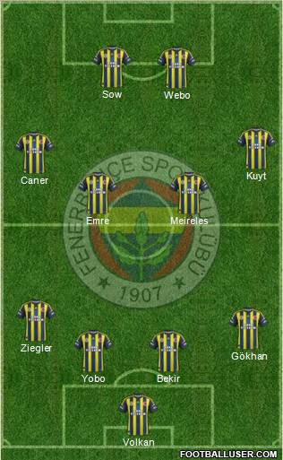Fenerbahçe SK Formation 2013