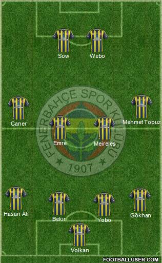 Fenerbahçe SK Formation 2013