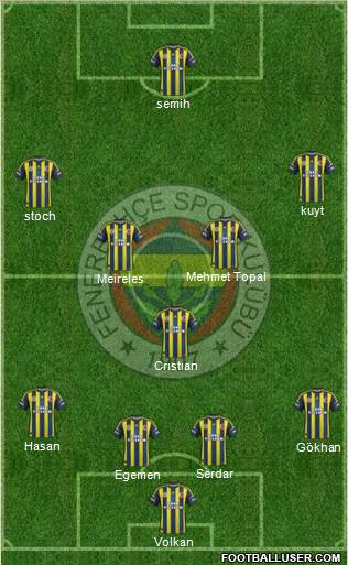 Fenerbahçe SK Formation 2013