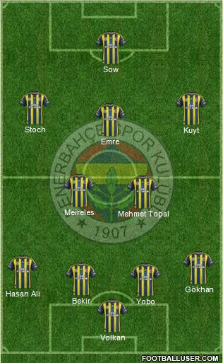 Fenerbahçe SK Formation 2013