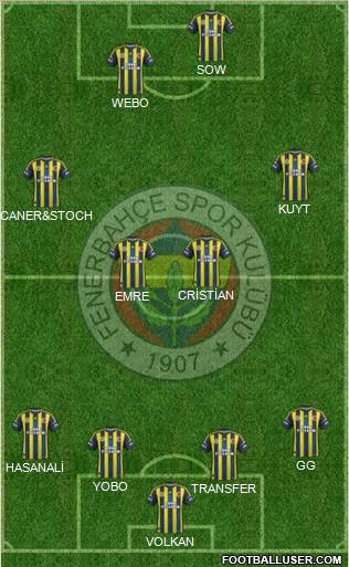 Fenerbahçe SK Formation 2013