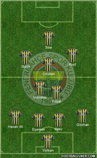 Fenerbahçe SK Formation 2013