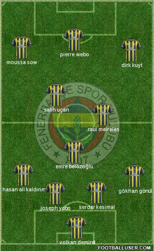 Fenerbahçe SK Formation 2013