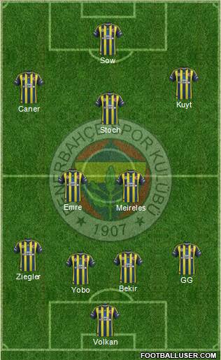 Fenerbahçe SK Formation 2013